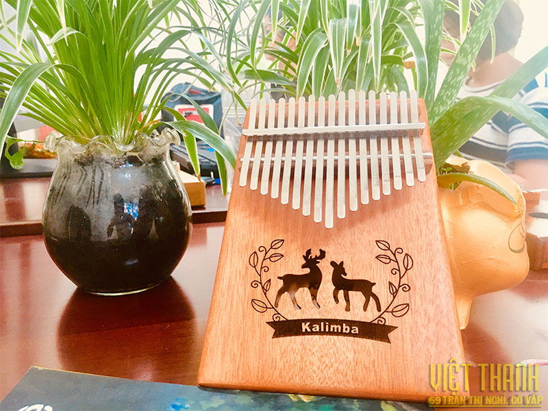 Đàn Kalimba A-17C