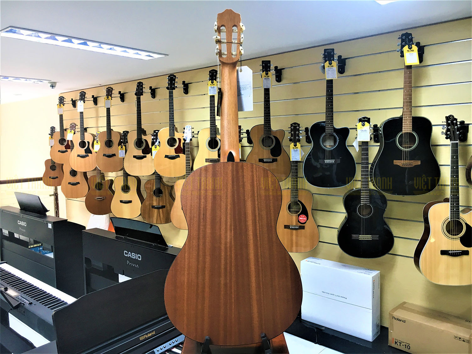 Đàn guitar Cordoba C1M có âm thanh lôi cuối