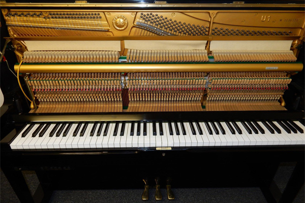 Bảng cộng hưởng được làm từ gỗ vân sam