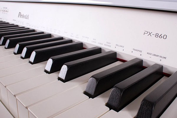 Phím đàn tạo ra các biến tấu âm sắc