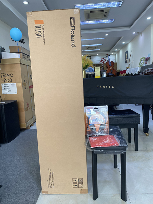 roland rp 30 tron bo