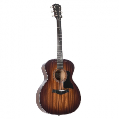Taylor 324