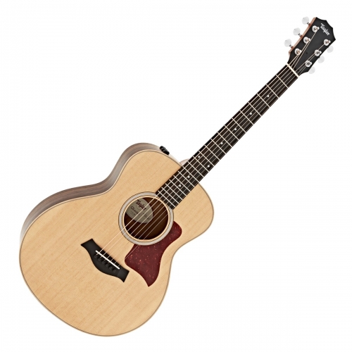 Taylor GS MINI-E RW