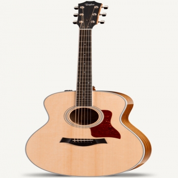 Taylor 416E