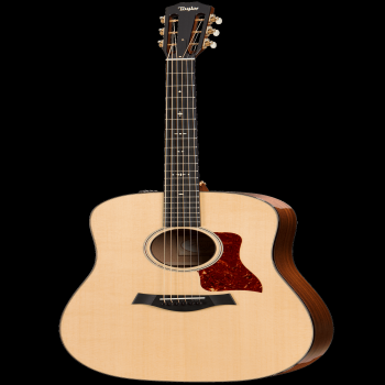 Taylor 510E