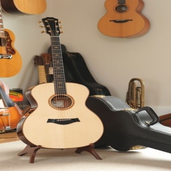 Taylor 514E