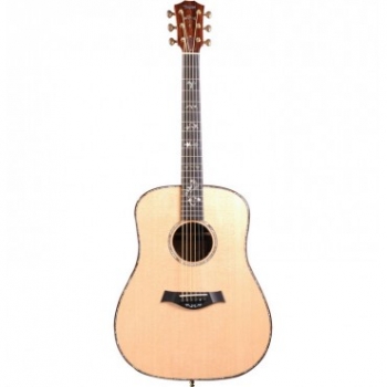 Taylor 910