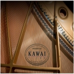 Kawai GL-10