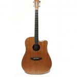 Tanglewood TWU DCE