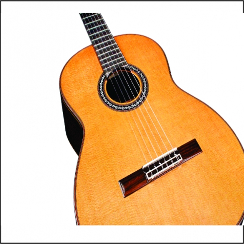 Cordoba C10 CD Lefty