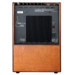 ONE FORSTRINGS AD WOOD