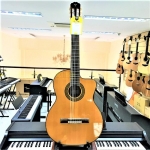 Takamine GC5CE NAT