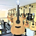 Takamine GD20 NS