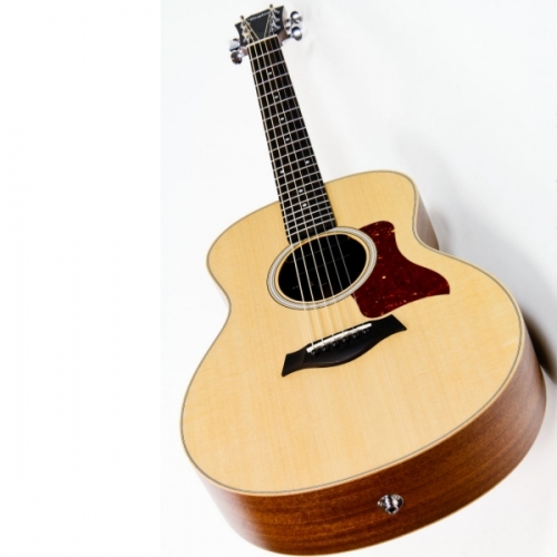 Taylor GS Mini