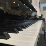 Kawai BL-71