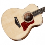 Taylor GS Mini