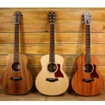 Taylor GS Mini