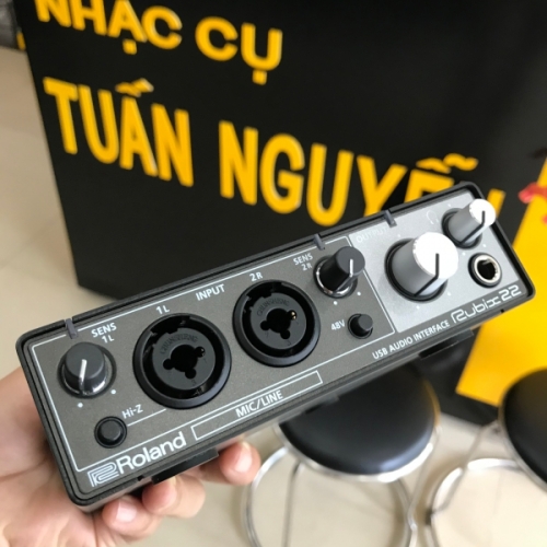 Roland Rubix 22