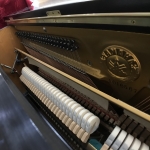 Yamaha U1F