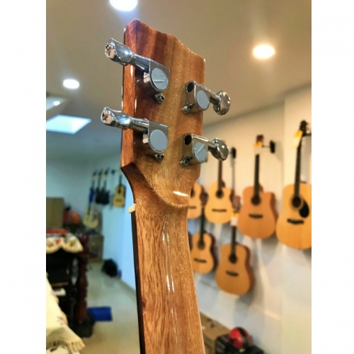Ukulele Mẫu 2