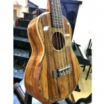 Ukulele Mẫu 1