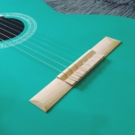 guitar c1 matiz mau aqua 3