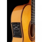 CORDOBA 55FCE HONEY AMBER 3