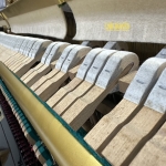 yamaha u3h bua dan tuan nguyen music