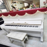 dan piano horugel u6 thuc te